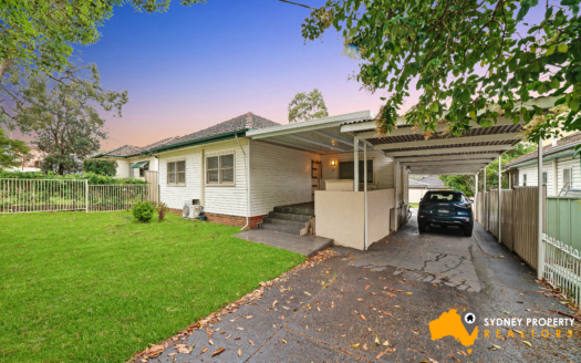 17 binalong st pendlehill 1